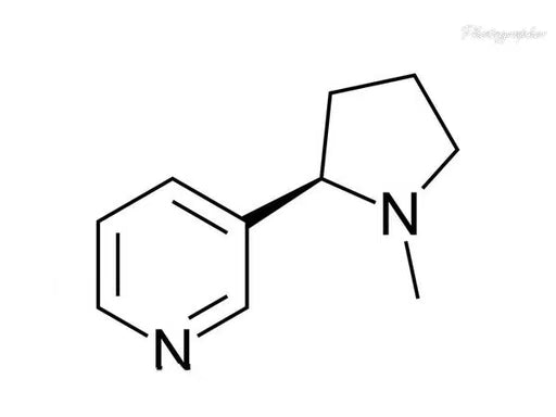 尼古丁鹽是什麼？他真的安全嗎？