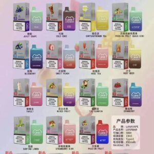 LANA5000口電子煙/LANA拋棄式電子煙/一次性電子煙